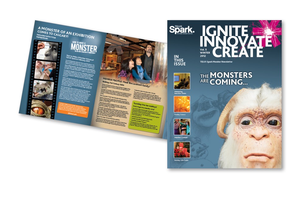 8-SparkNewsletter_1-portfolio9