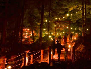 Photography – Night and Low&nbsp;Light